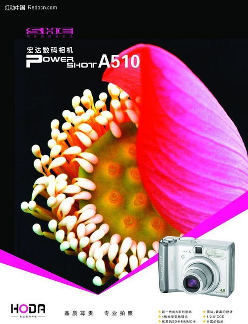 捕捉每一个精彩瞬间——新一代数码相机，开启摄影新纪元